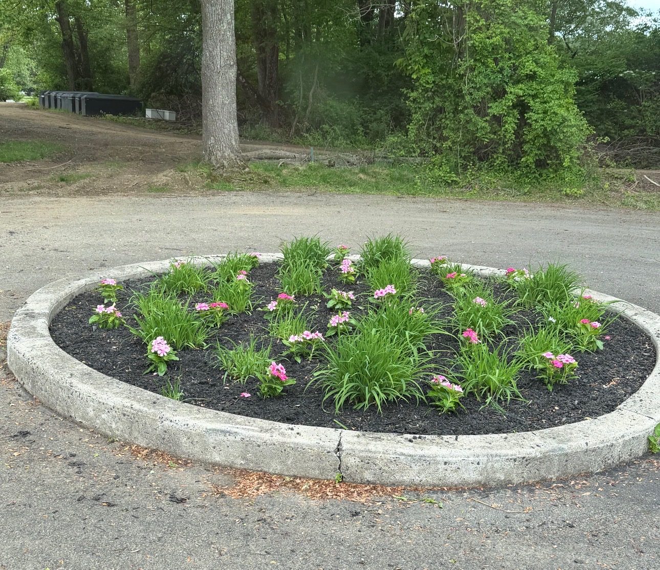 A circular flower bed with pink vincas and daylilies at the entrance to the Aramgah section