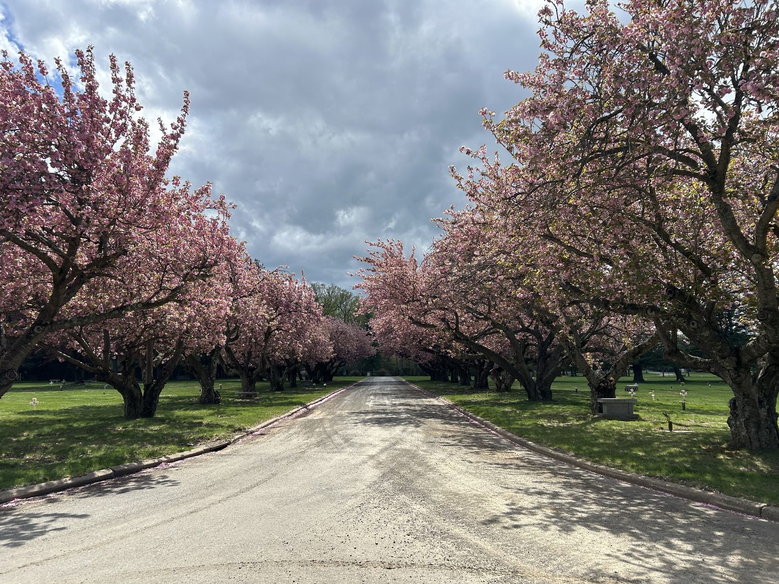 Lawns and trees at White Marsh Memorial Park