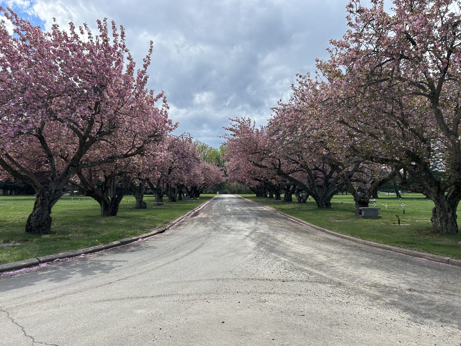 A quiet corner of the grounds at White Marsh Memorial Park