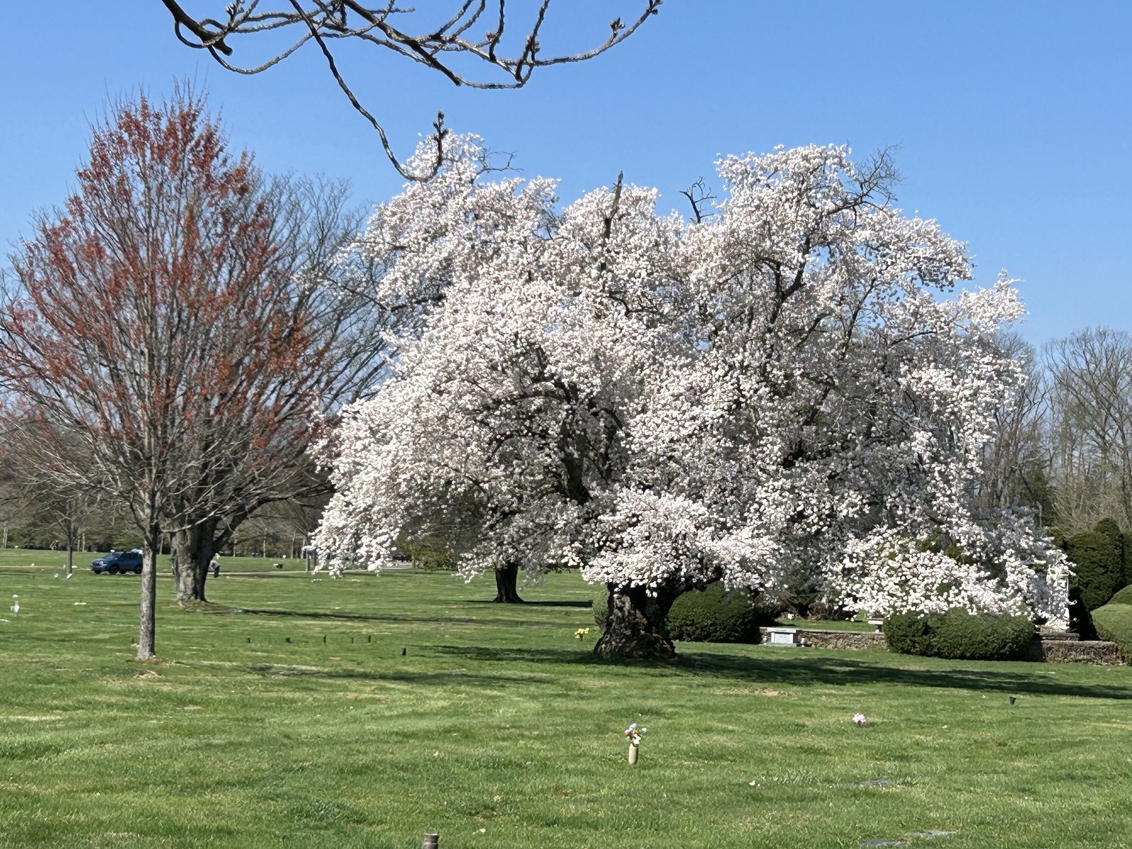 The grounds at White Marsh Memorial Park
